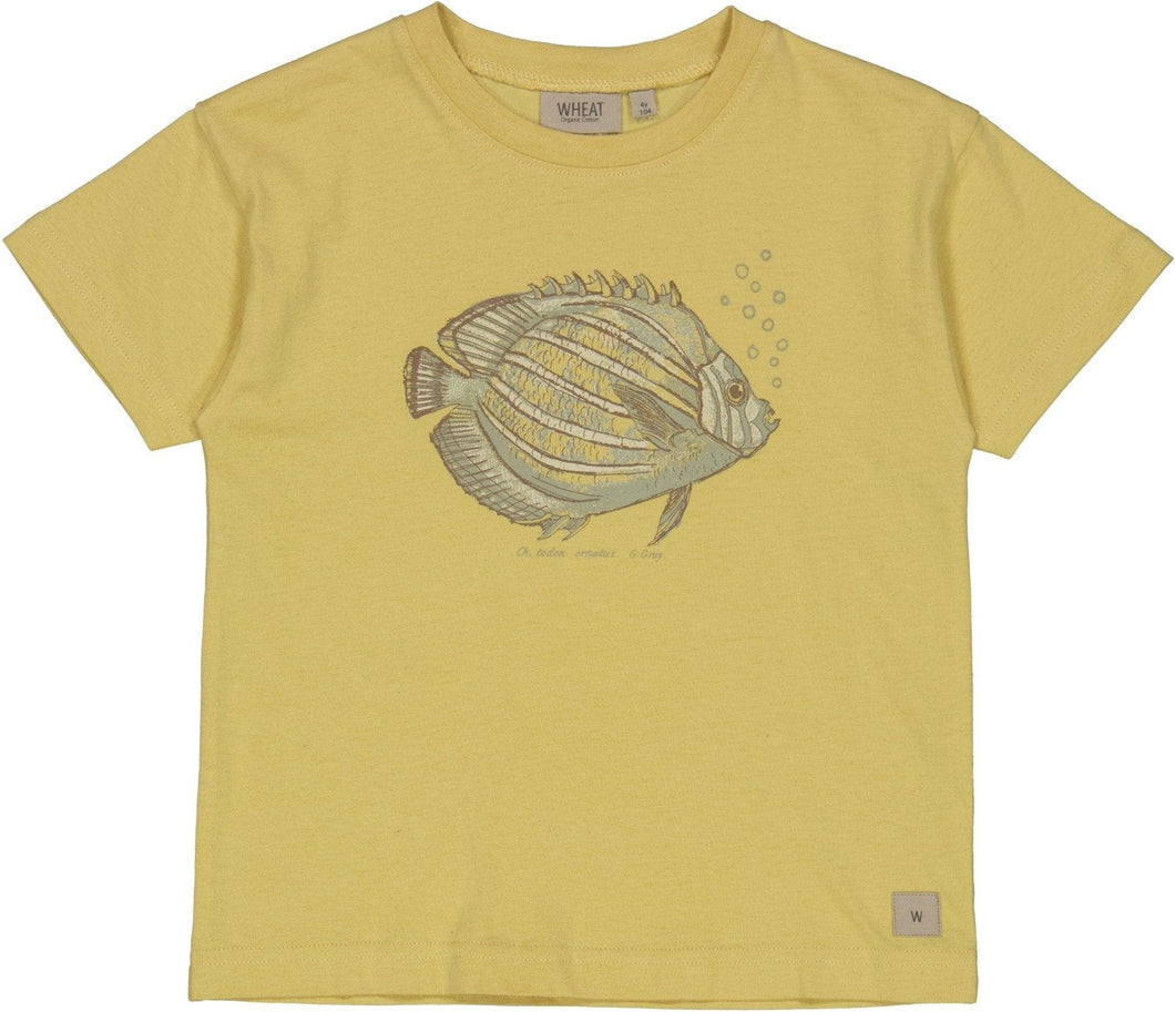 T-Shirt Fish - Little moon