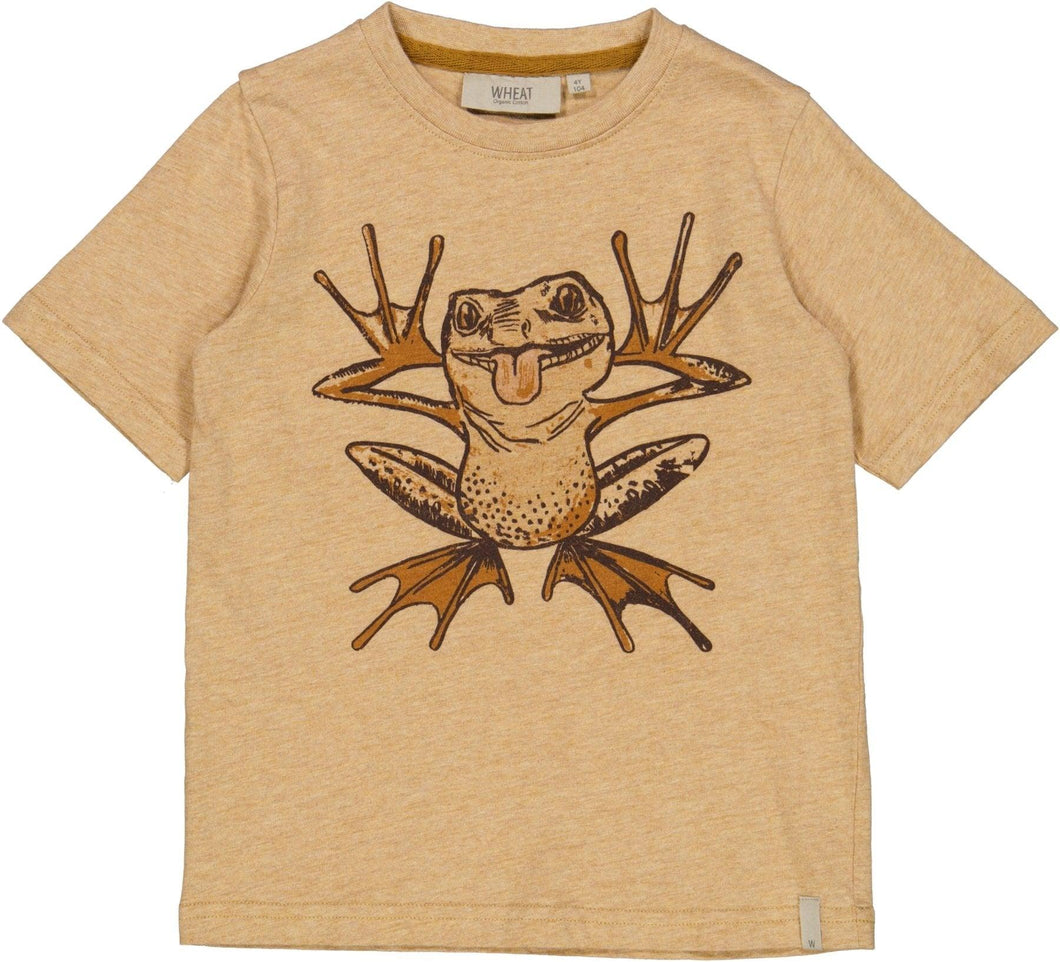 T-Shirt Frog - Little moon