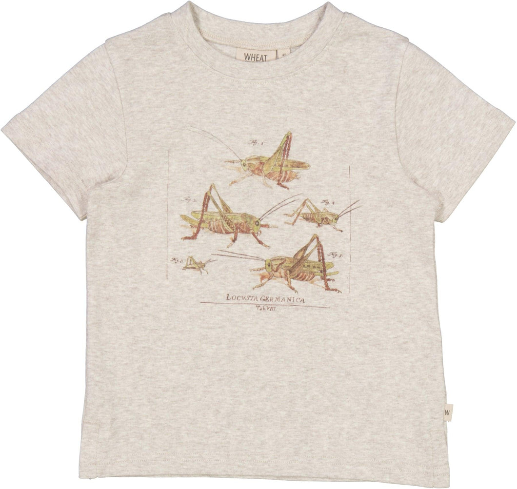 T-Shirt Grasshoppers Wheat Spring23