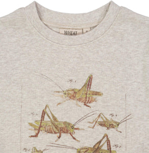 T-Shirt Grasshoppers Wheat Spring23