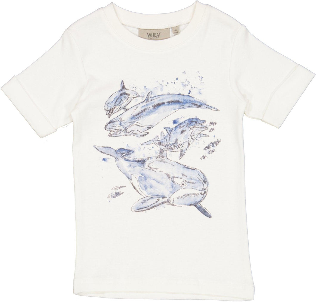 T-Shirt Whales - Little moon
